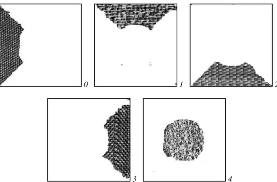 Figure 10: Texture regions after the segmentation.