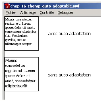 Figure 16-20. Champ texte auto-adaptable. 