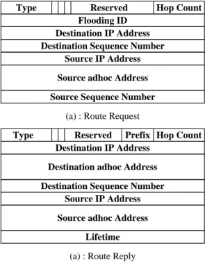 Figure 11: Format of AODV control packets when used with Ananas