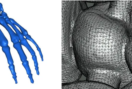 Figure 5: Hand