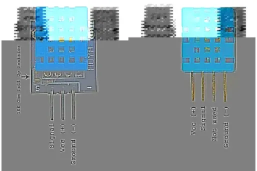 Figure 10: les deux version du capteur DHT11 