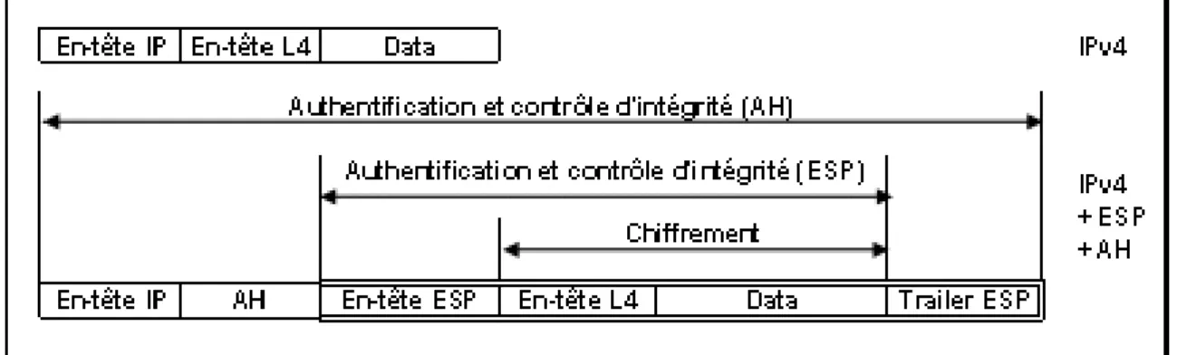 Figure 9 : En-tête AH et ESP. 