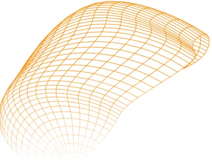 Figure 1. example of a bicubic spline surface