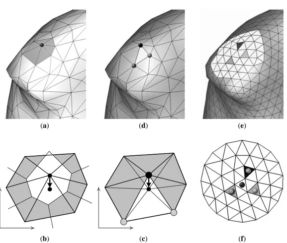 Figure 2: Vertex relocation. (a) A vertex v of the mesh to be relocated. The faces of the sub-mesh S(v) are dark-grey