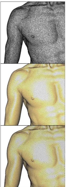 Figure 8: Closeup on the Digital Michelangelo David model: original, uniform sample tiling and triangle remesh.