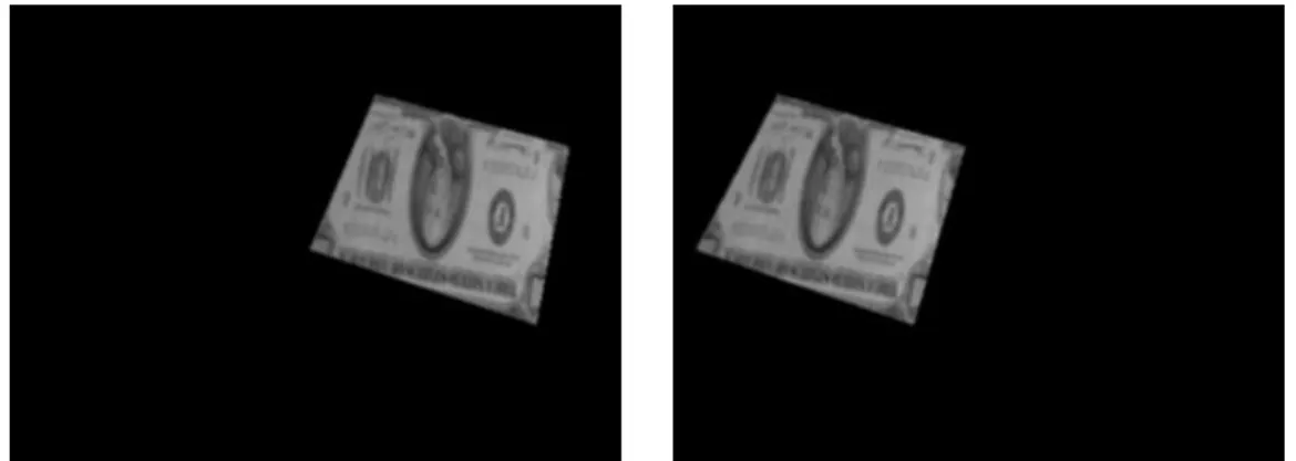 Figure 6: Stereo synthetic pair with a real texture.