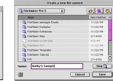 Figure 3. Opening screen for FileMaker Pro 5 Figure 4. Saving a new file
