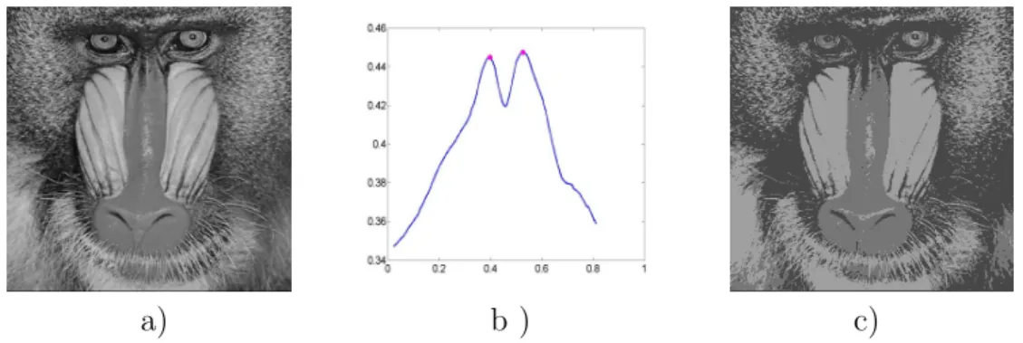 Figure 1: The image ”baboon” (a). The graphic of the Onicescu energy and its local maximums (b)