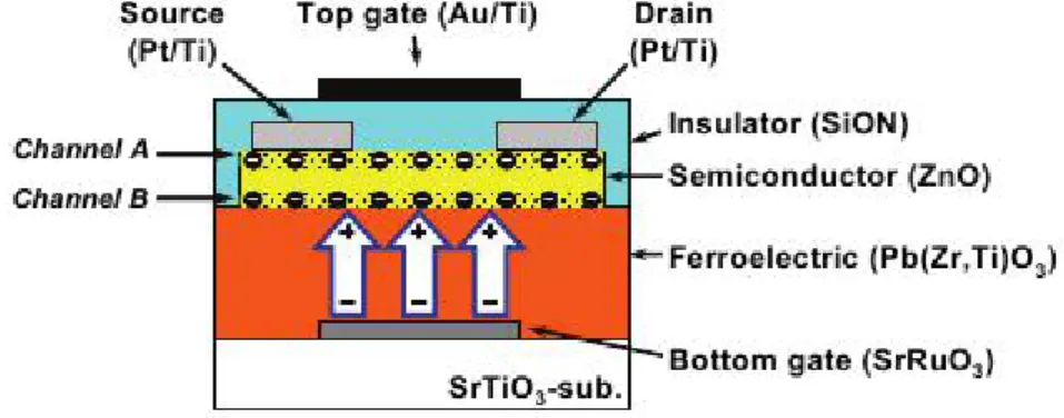 Figure 7: Ferroelectric Memristor, the OxiM transistor has dual channels at the upper and lower sides of the ZnO film, which are controlled independently by the top gate and the bottom gate, respectively.