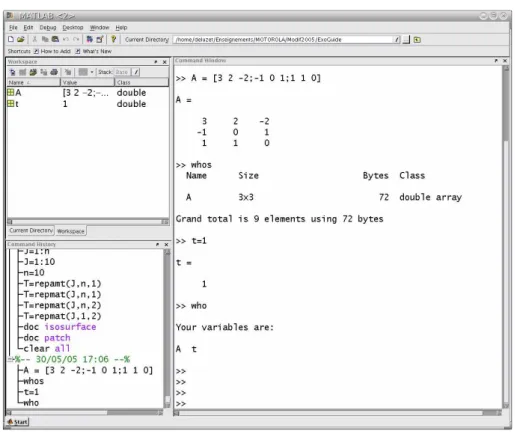 Fig. 1.1 – Exemple de session matlab avec le support java (matlab -jvm).