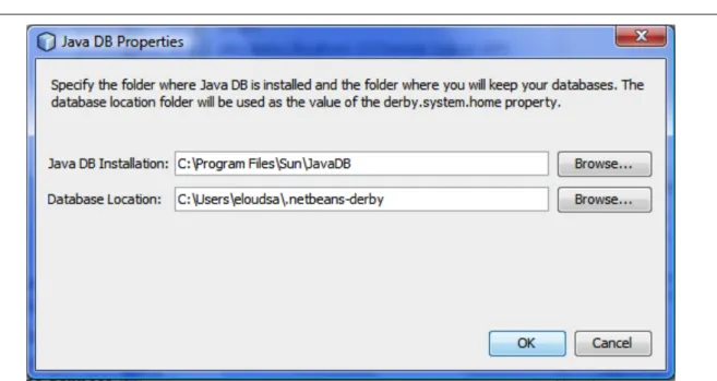 Figure 6-18: Propriétés de Java DB 
