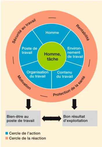 Fig. 6: roue de l’ergonomie.