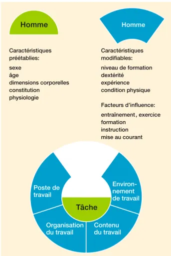 Fig. 7: caractéristiques «humaines».