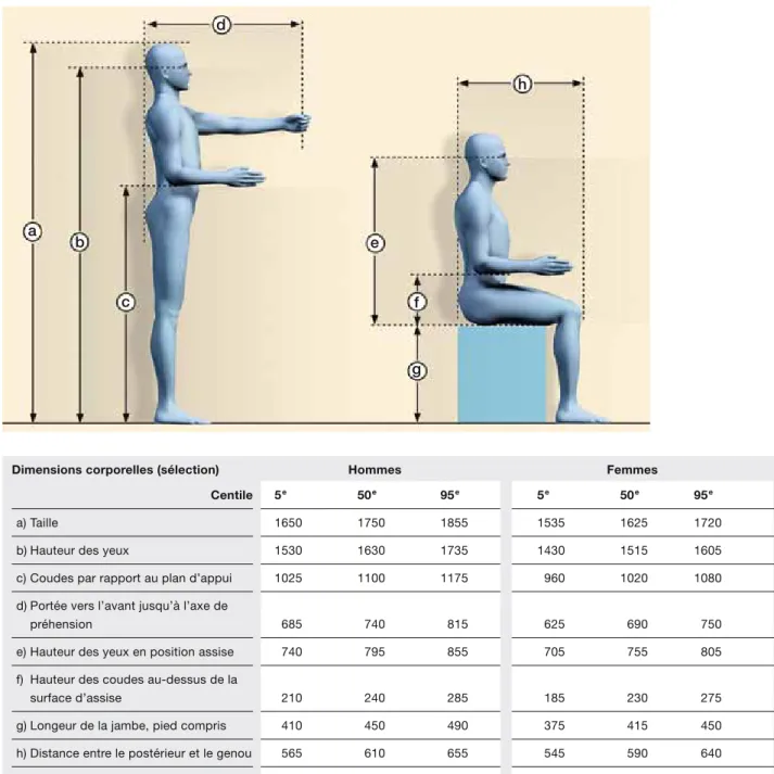 Fig. 12: dimensions corporelles d’une personne assise ou debout (extrait de la norme DIN 33402-2, groupe d’âge compris entre 18 et 65 ans).