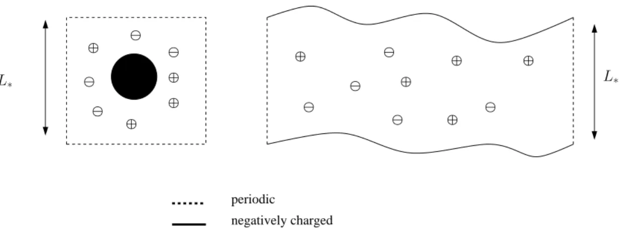 Figure 1. Geometries for Ω: periodic media with negatively charged inclusions (left);