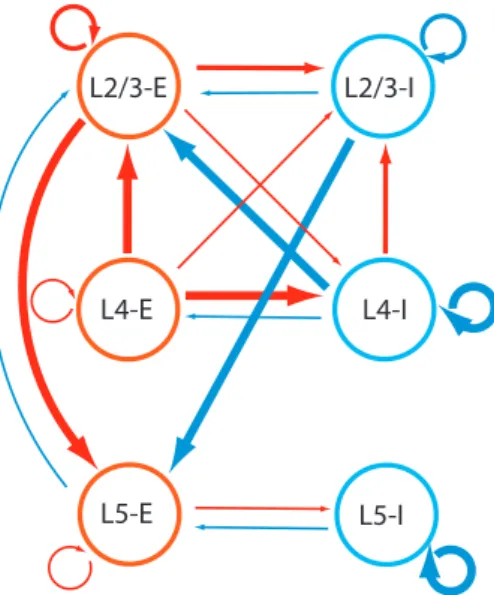 Figure 1: A model with six interacting neural populations.