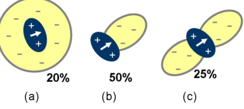 Figure 9: Different geometries of asymmetric center-surround organization in MT cells [65, 64]