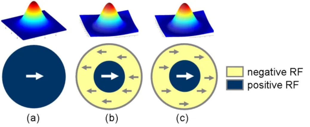 Figure 10: Center-surround interactions modeled in the MT cells. The reinforcing surround (a) is modeled through a gaussian