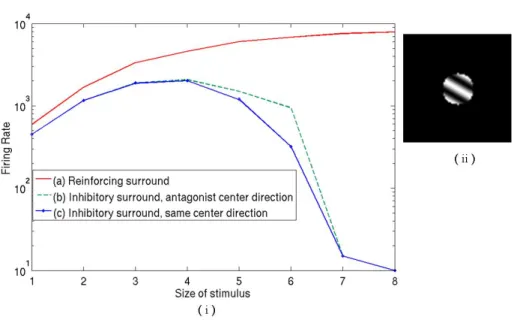 Figure 11: Graph with the firing rates measured for the three different receptive fields modeled for MT cells (Figure 10)