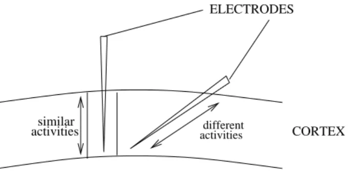 Figure 4: Mouncastle’s pioneering experiment. When he moved an electrode perpendicular to the cortex surface, he encountered neurons with similar electrical activities while moving the electrode obliquely gave him different types of recordings