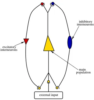 Figure 8: Model of a cortical column: if features a population of pyramidal cells interacting with two populations of inter-neurons, one excitatory (left branch) and the other inhibitory (right branch).