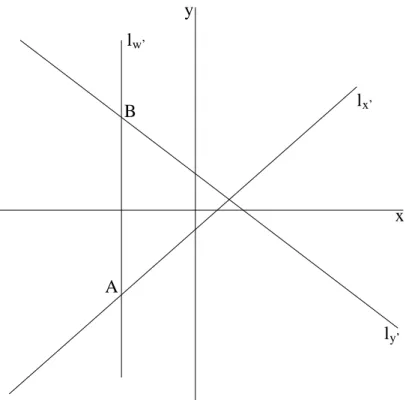 Figure 6: Lines ` x 0 , ` y 0 , and ` w 0 are sets of points, where x 0 = 0, y 0 = 0, and w 0 = 0 respectively.
