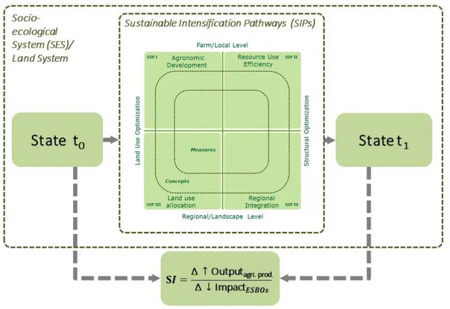 Figure 8: Understanding of Sustainable Intensification Pathways (SIPs) as transitions from state t 0  as status quo to state  t 1  as future state.