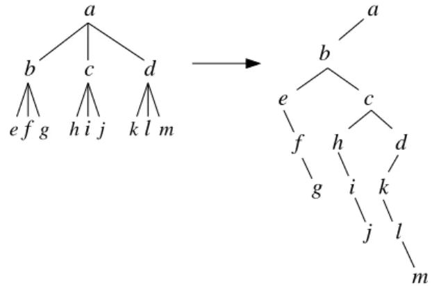 Figure 17 : repr« esentation ˛ls gauche - fr„ ere droit