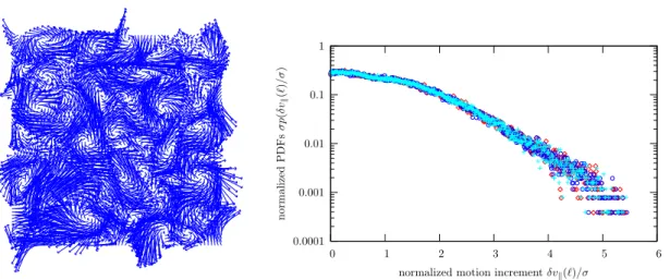 Figure 1: Bidimensional turbulent motion and similarity through scales of the normalized motion increment PDFs σ ℓ p ℓ ( δv σ k (ℓ)