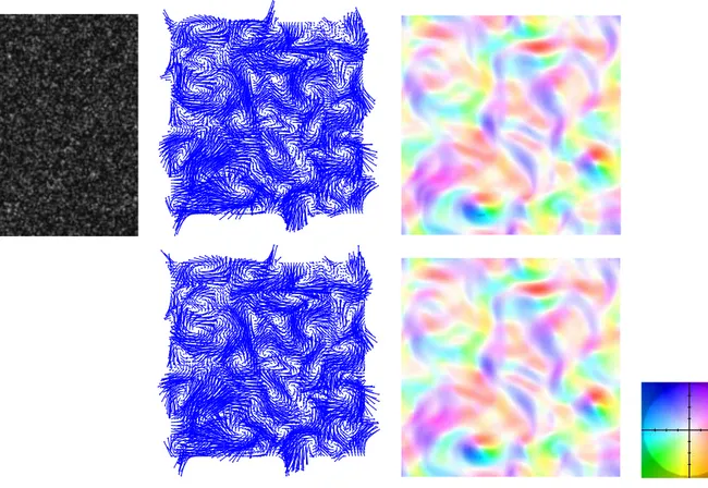 Figure 2: Bidimensional turbulence. Above. Particle image at initial time (left). True velocity field (middle) and its scalar (right) representation