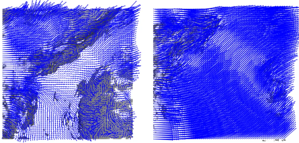 Figure 12: Motion at different altitude. Estimated horizontal wind fields at low (left) and intermediate (right) altitude.