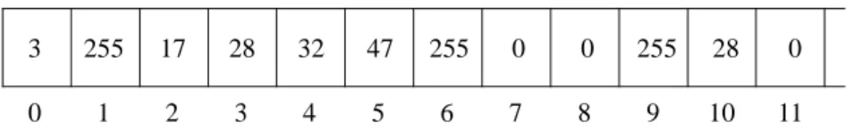 FIGURE 7: Représentation simplifiée du début de la mémoire d'un ordinateur