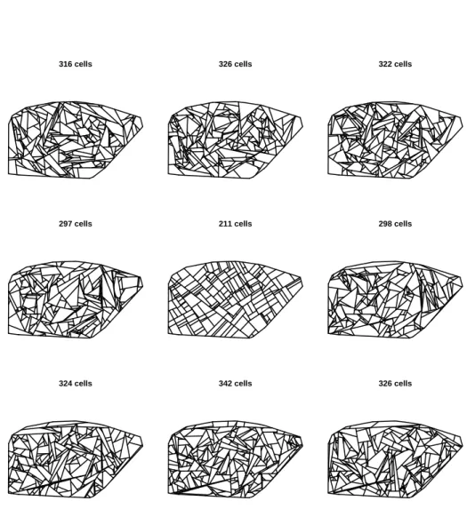 Figure 5: Center: a T-tessellation supposed to be a realization of the CRTT model with unknown parameter