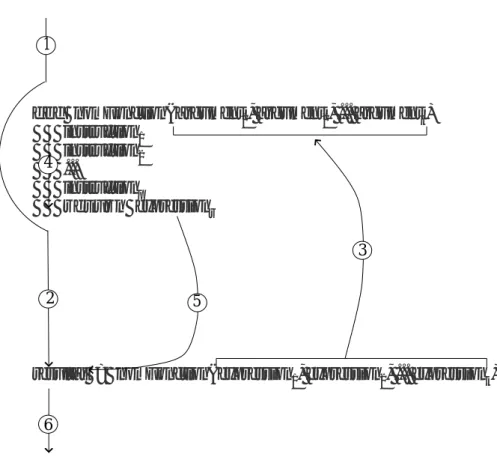 Figure 4 – Chronologie de l’ex´ ecution d’un script comportant une fonction