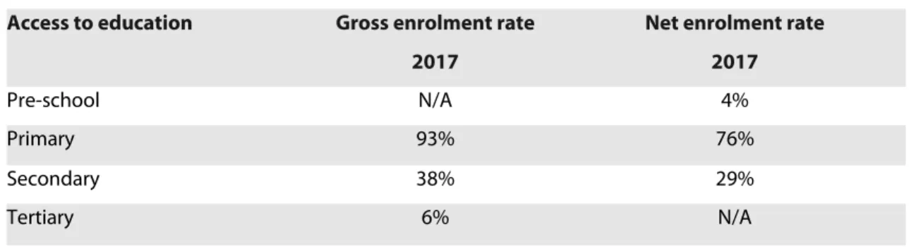 Table 2.2. Gross and Net Enrolment Rates in Education in 2017  Access to education  Gross enrolment rate 