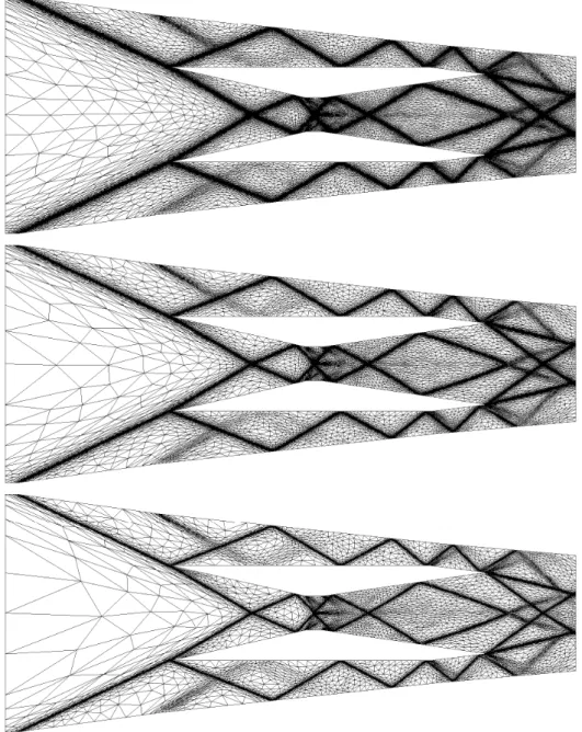 Figure 10: Adapted meshes resulting from the simulation of a scramjet with the metric- metric-space-homogeneous gradation