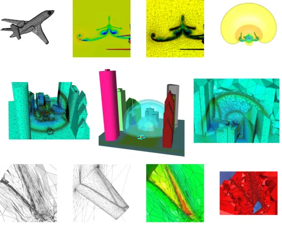 Figure 5: Some examples of meshes used to provide quantitative information on the per- per-formance of Shrimp