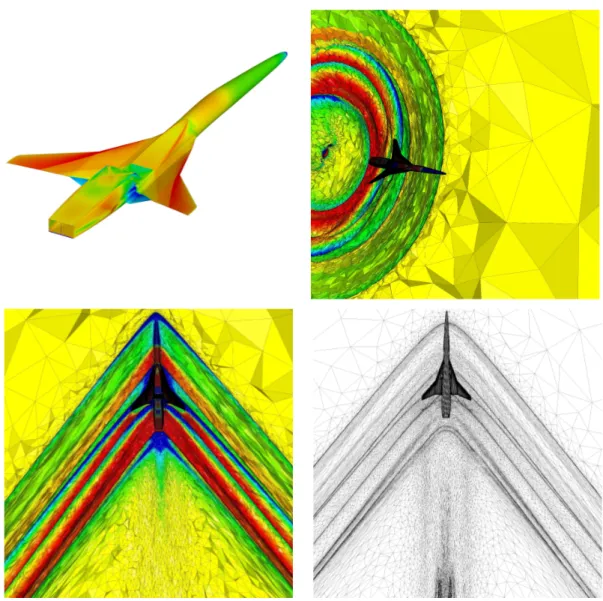 Figure 10: Final anisotropic adapted mesh and solution for the supersonic aircraft.