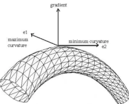 Figure 1: Illustration of the direction of the gradient, and the directions of the mini- mini-mum and the maximini-mum curvature.
