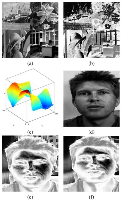 Figure 1: SR matching (with linear elasticity) : (a) and (b) learning sets : 4 pairs of 256x256 images, (c) estimated comparison function F, 