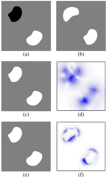 Figure 2: MI criterion with a synthetic example : (a) reference image (256x256), (b) image to register, (c) image (b) after realignment (with linear elasticity), (d) recovered displacement field (with linear elasticity), (e) image (b) after  realign-ment (