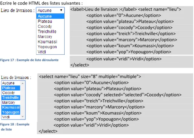 Figure 17 : Exemple de liste déroulante 