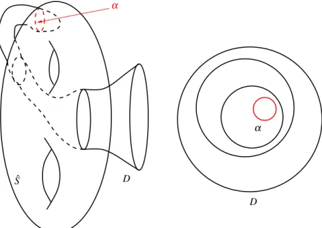 Figure 1: Surgery along a compressing disk.