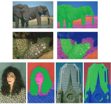Figure 3: FROM LEFT TO RIGHT, TOP TO BOTTOM: (a), (c), (e), and (g) Natural images. (b), (d), (f) and (h) their corresponding segmentation results superimposed on original images.