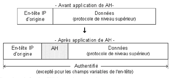 Illustration 3: Intégration d'AH dans un datagramme Ipv4 en mode transport.