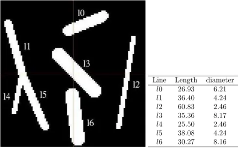 Figure 5: Synthetic image and coordinates.