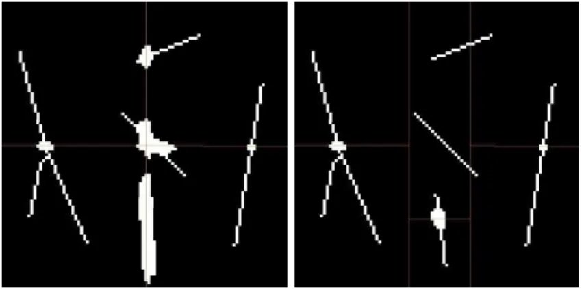 Figure 10: Steps of figure 5 (a) skeletonization using our method. In the first step of block- block-wise skeletonization, contiguous blocks are processed (border points are freezed according to previous conditions)