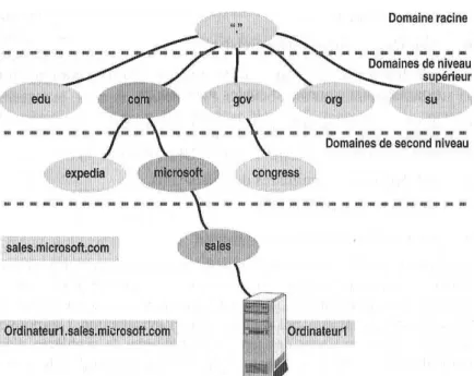 Figure III. 1:La structure hiérarchique de l'espace de noms DNS 