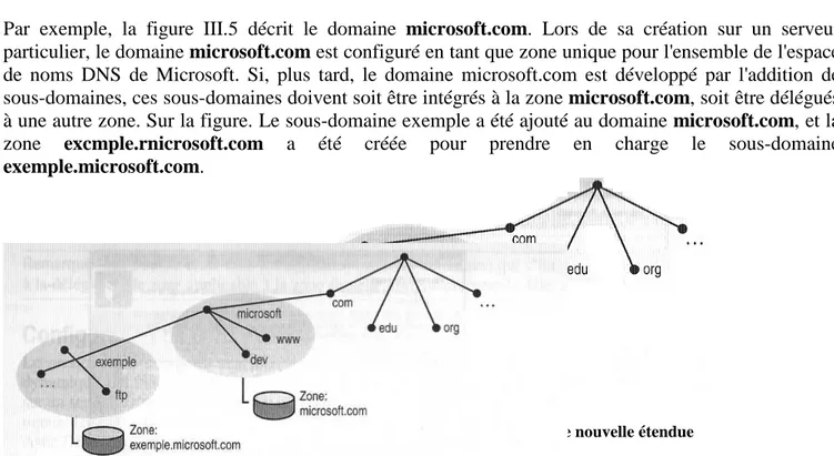 Figure III. 5 : Délégation d'un nouveau sous-domaine à une nouvelle étendue 