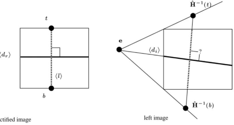 Figure 7: Lines involved in the determination of the rectification transformation (see text).